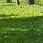 Frühling im Goethepark, Bad Lauchstädt