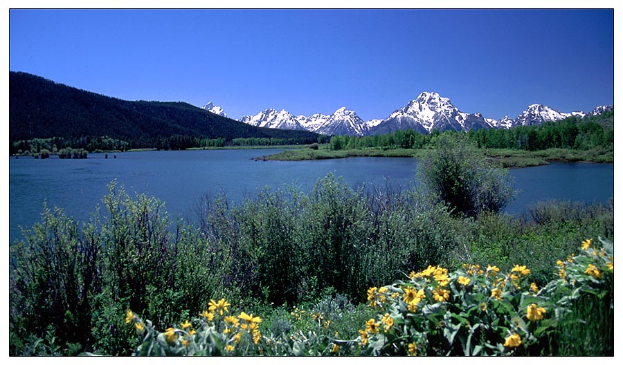 Frühling im Grand Teton