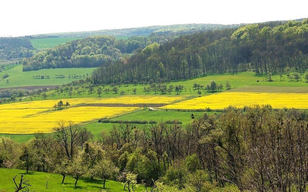 Frühling im "grünen" Kreis