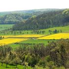 Frühling im "grünen" Kreis