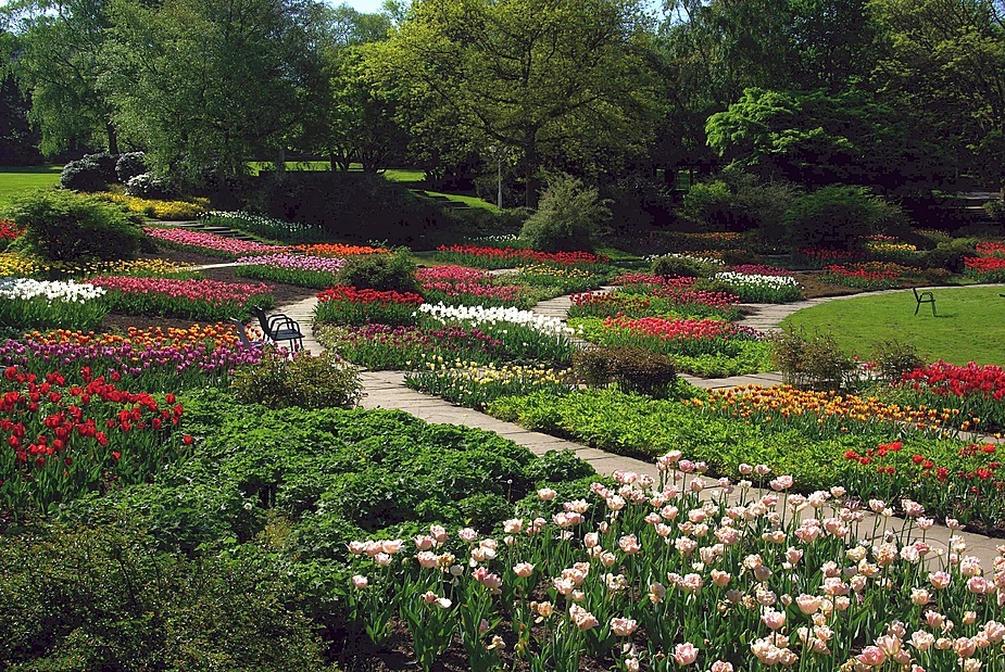 Frühling im Grugapark Essen