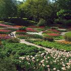 Frühling im Grugapark Essen