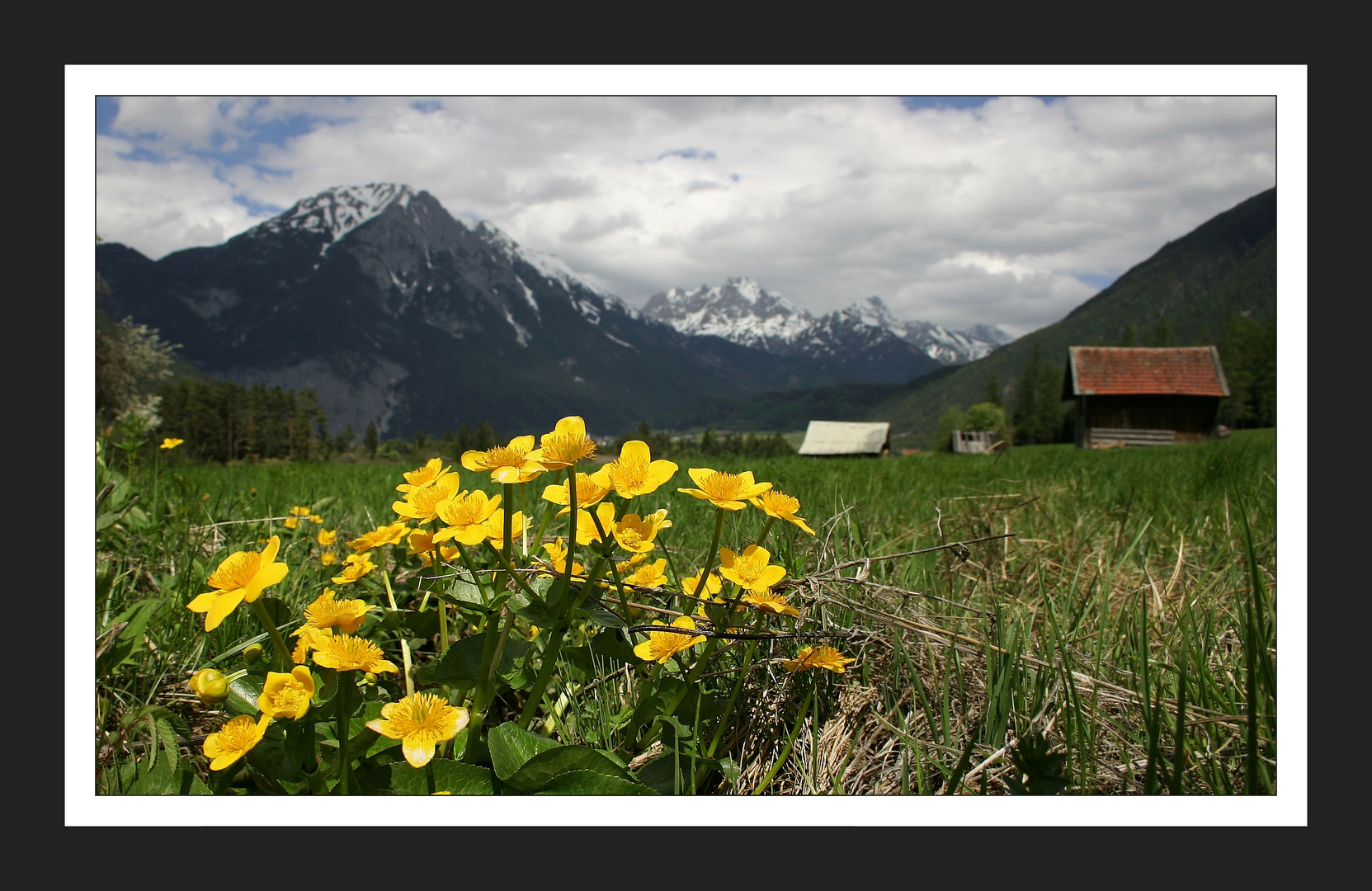 Frühling im Gurgltal