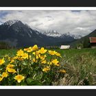 Frühling im Gurgltal