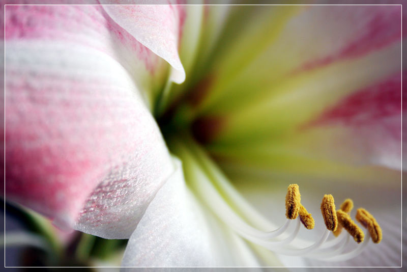 Frühling im Haus