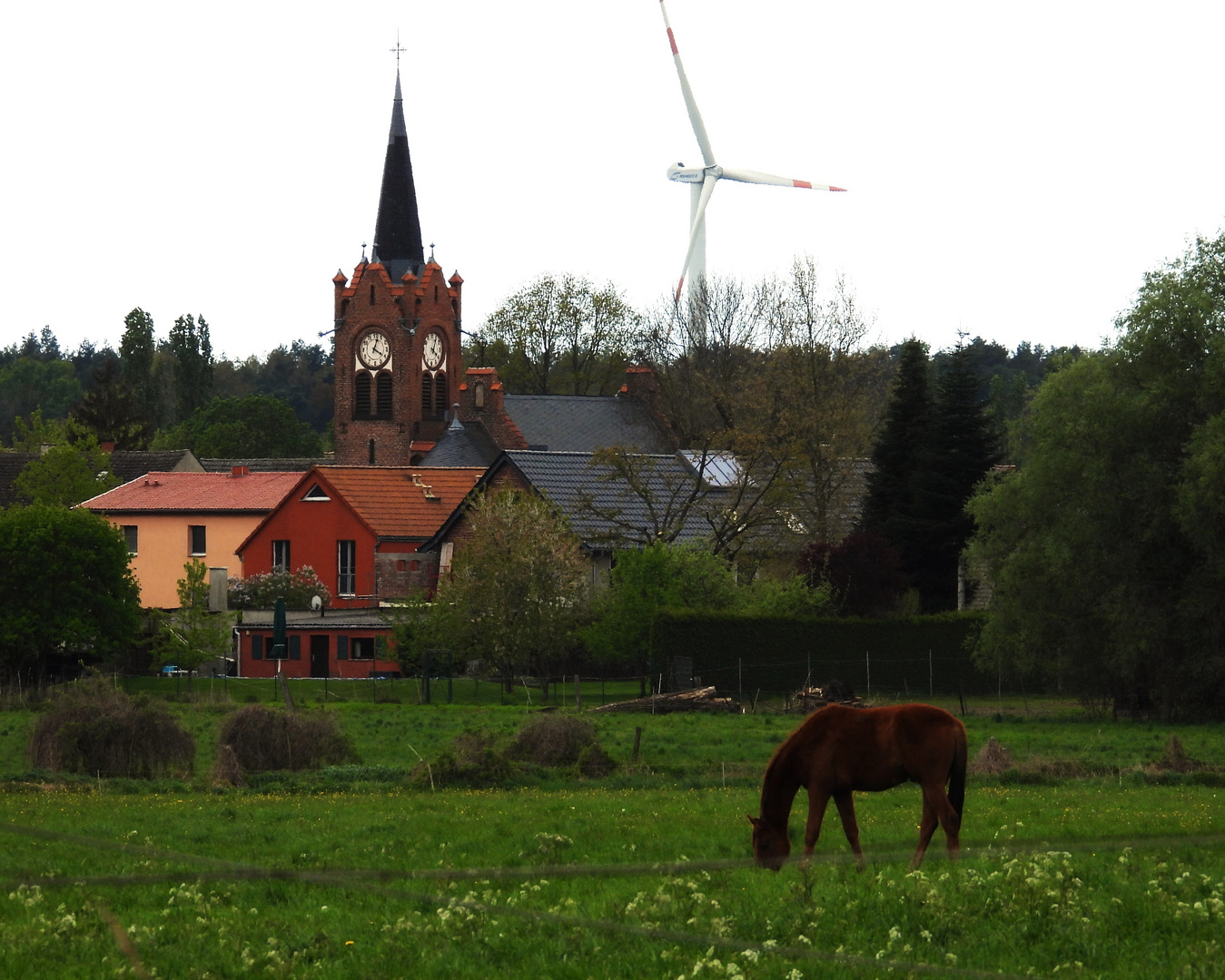 Frühling im Havelland/Wustermark