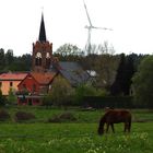 Frühling im Havelland/Wustermark