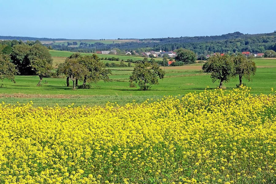 Frühling im Herbst ...