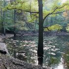 Frühling im Herbst