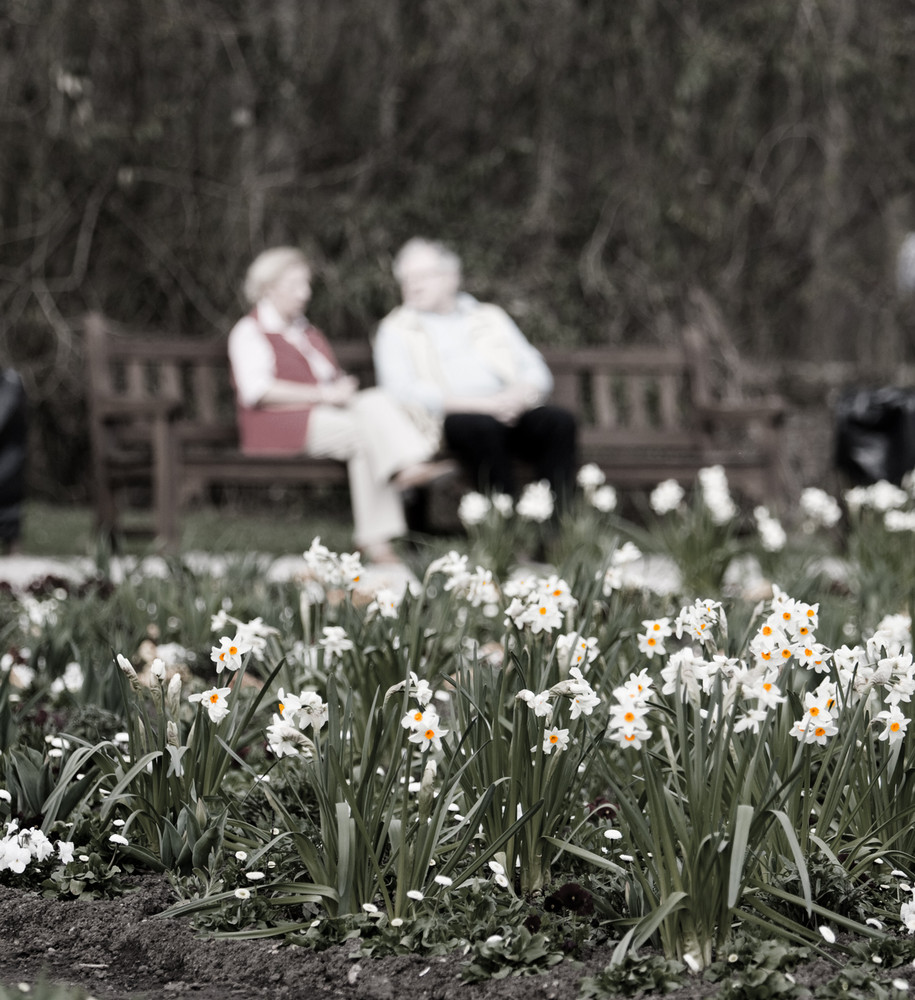 Frühling im Herbst des Lebens