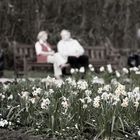 Frühling im Herbst des Lebens