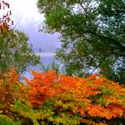 Frühling im Herbst