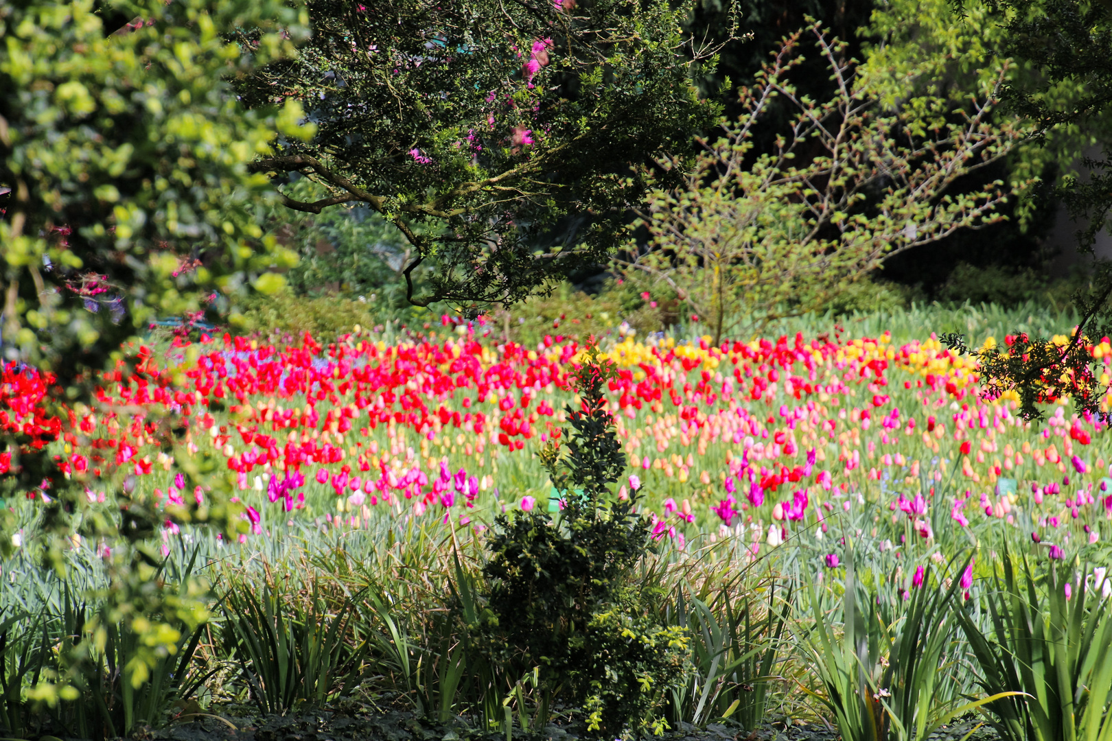 Frühling im Hermannshof 2