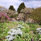 Frühling im Hermannshof 3