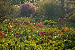 Frühling im Hermannshof