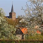 ~ Frühling im Heuvelland ~