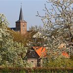 ~ Frühling im Heuvelland ~