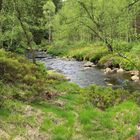 Frühling im Hilltal