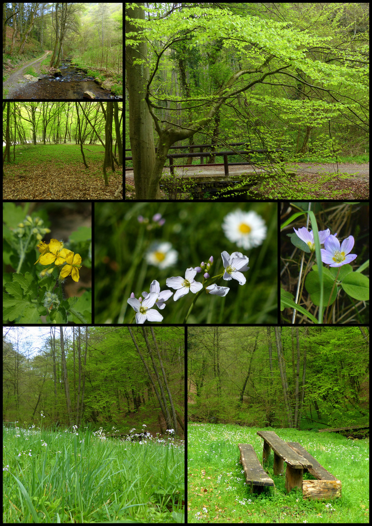 °°°° Frühling im Hinterbachtal °°°°