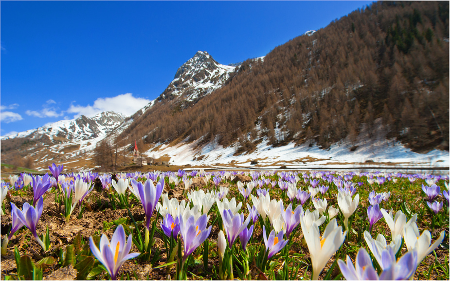 [ Frühling im hinteren Ahrntal ]