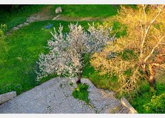 Frühling im Hinterhof