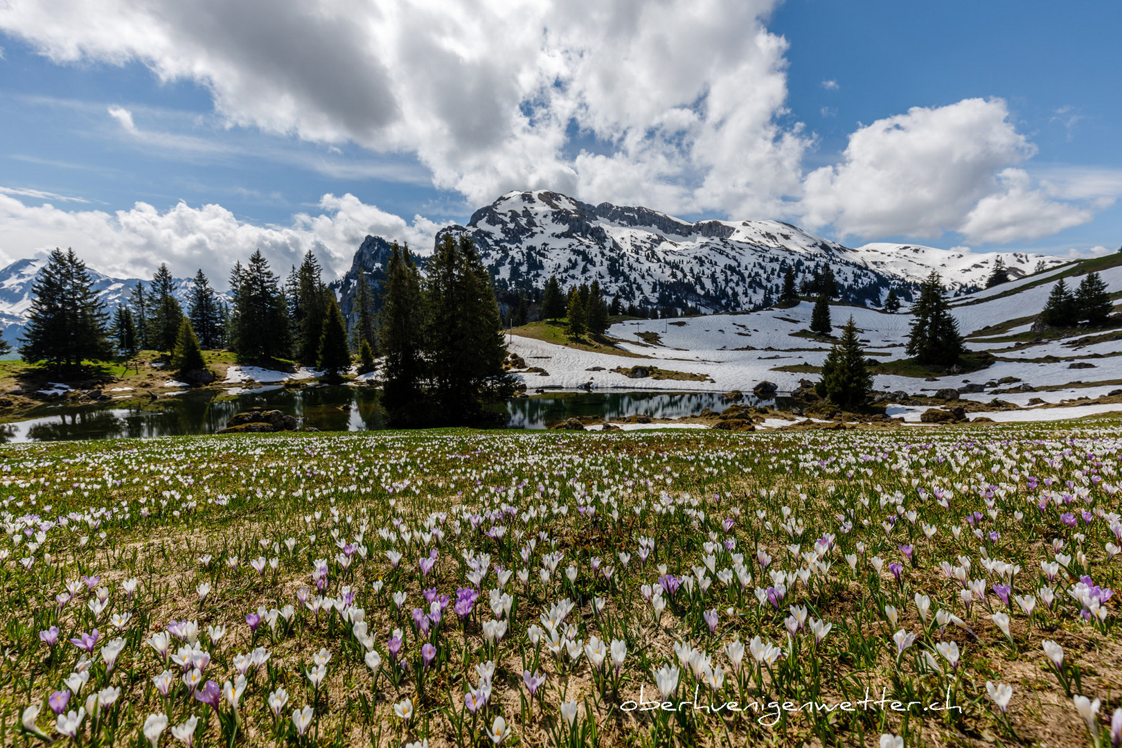 Frühling im Hochgebirge