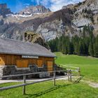 Frühling im Hochtal