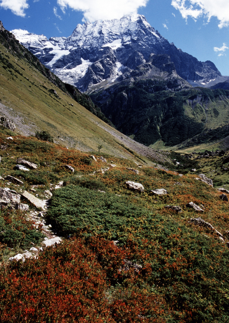 Frühling im hohen Ecrins