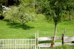 Frühling im Hotzenwald