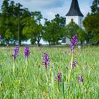 Frühling im Hunsrück