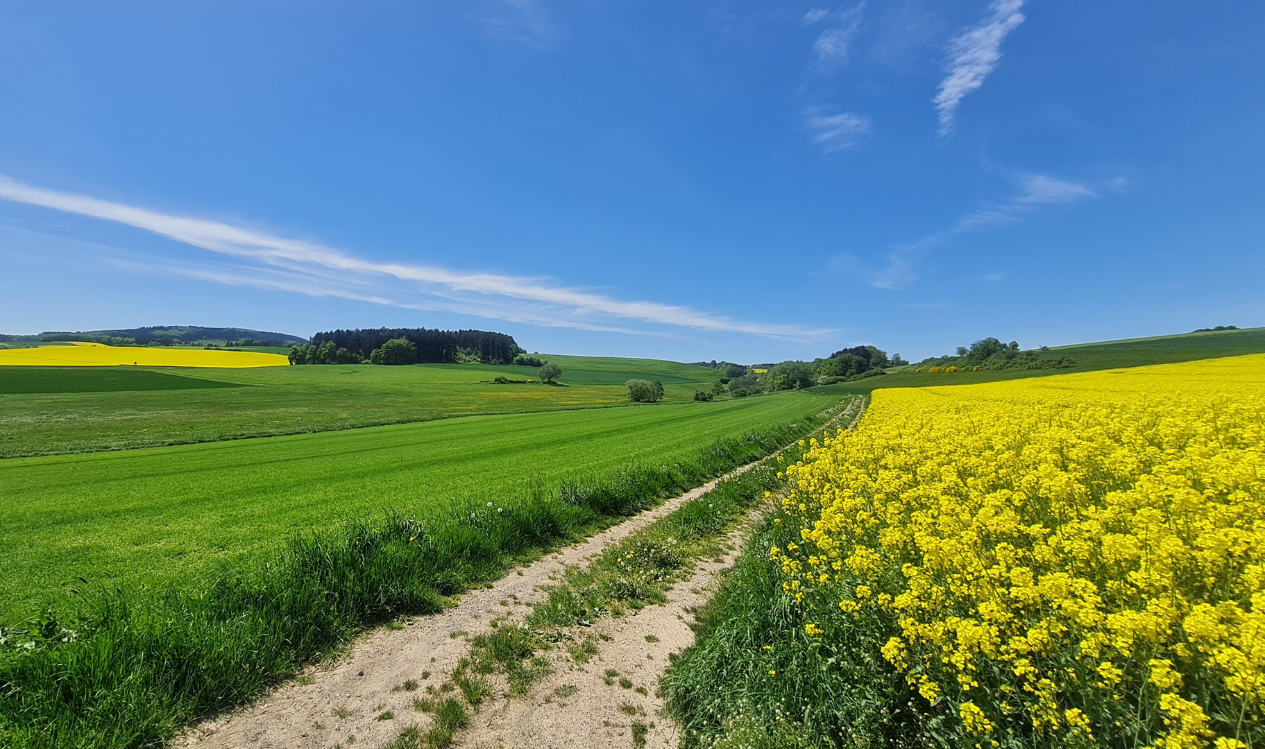 Frühling im Hunsrück