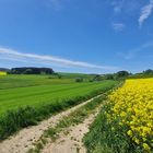 Frühling im Hunsrück