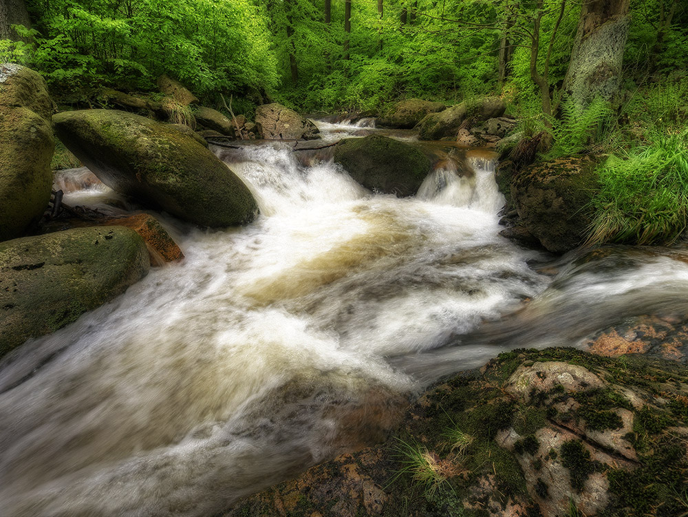 Frühling im Ilsetal 2