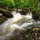 Frühling im Ilsetal 2