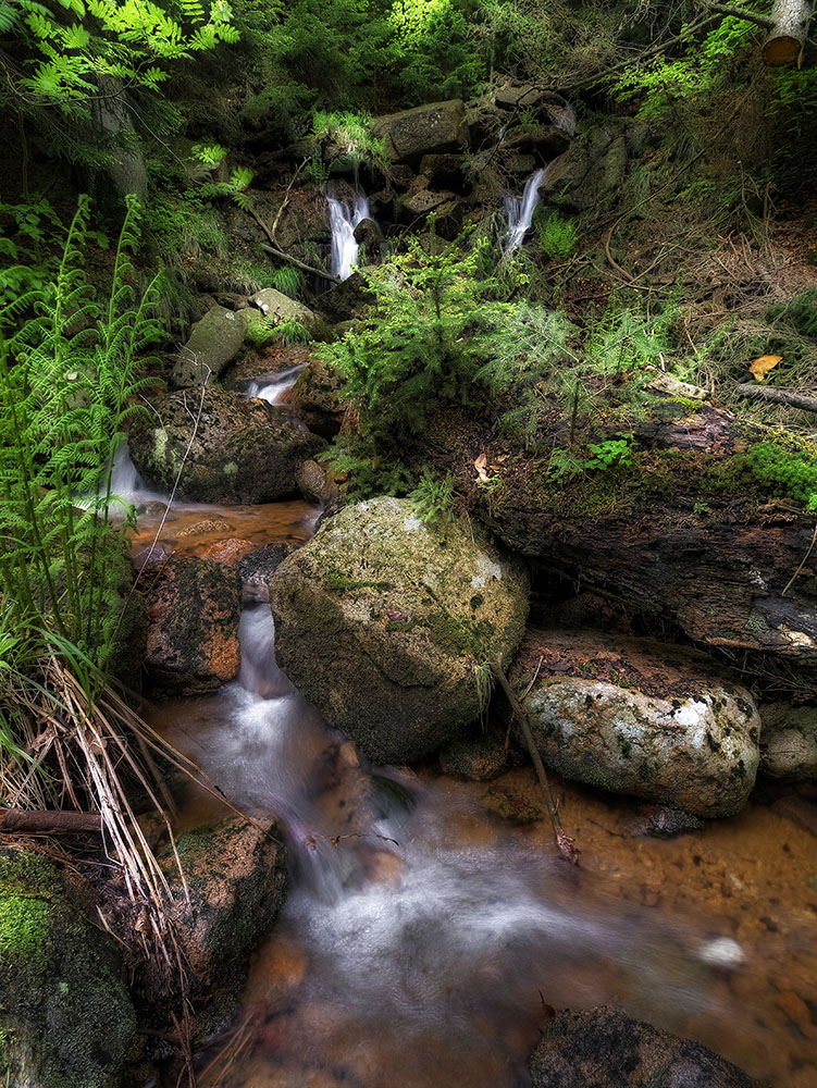 Frühling im Ilsetal 3