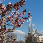 Frühling im Industriegebiet