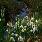 Frühling im Jahr 2024