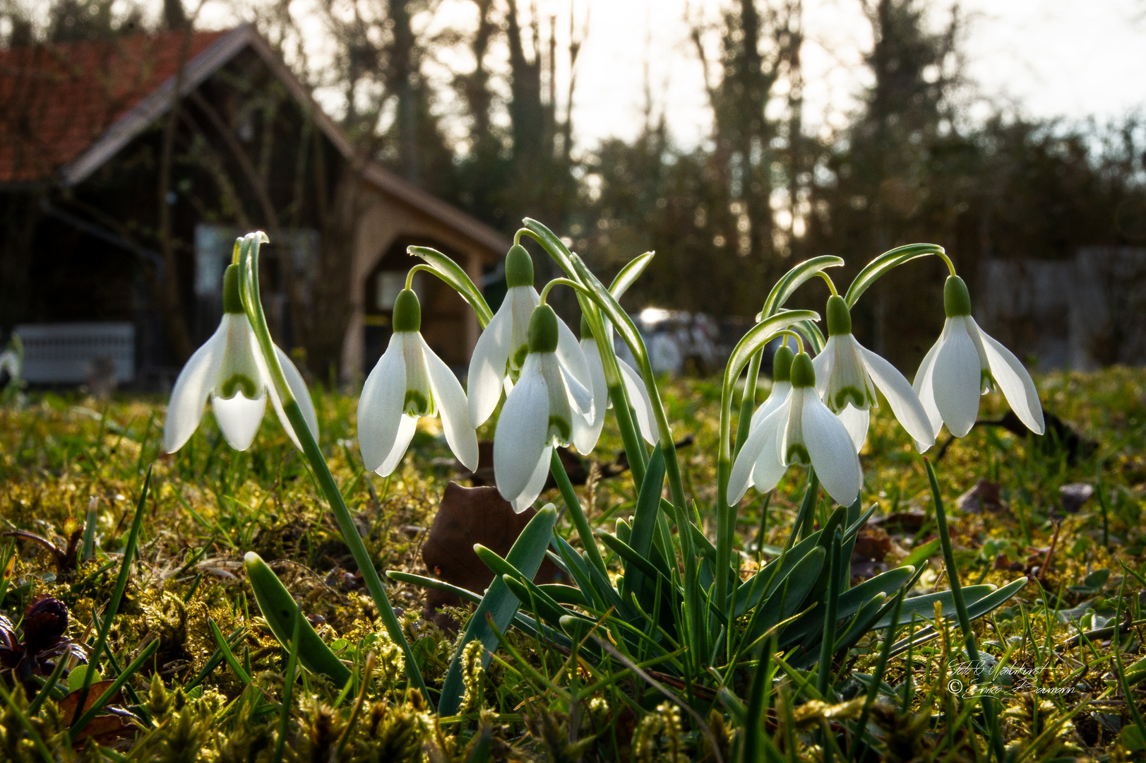 Frühling im Jahr 2024