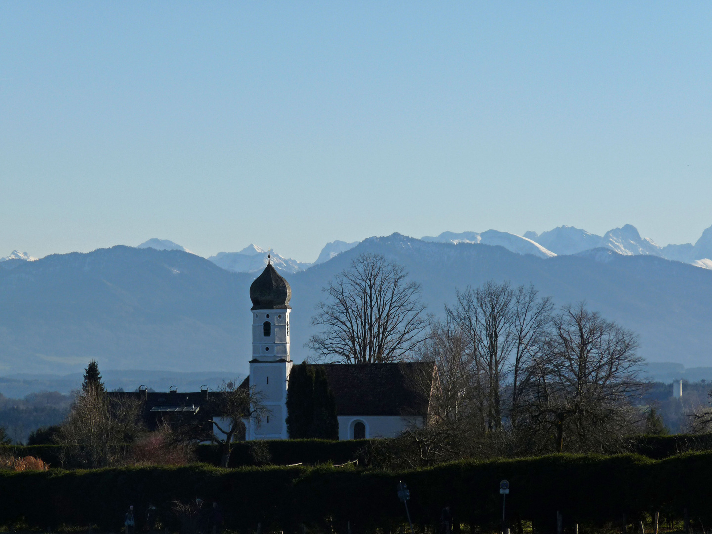 Frühling im Januar