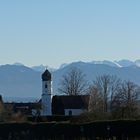 Frühling im Januar