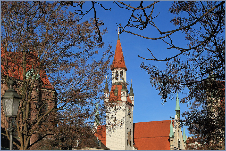 Frühling im Januar...