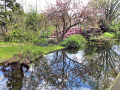 Frühling im Japanischen Garten