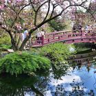 Frühling im Japanischen Garten