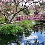 Frühling im Japanischen Garten