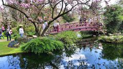 Frühling im Japanischen Garten