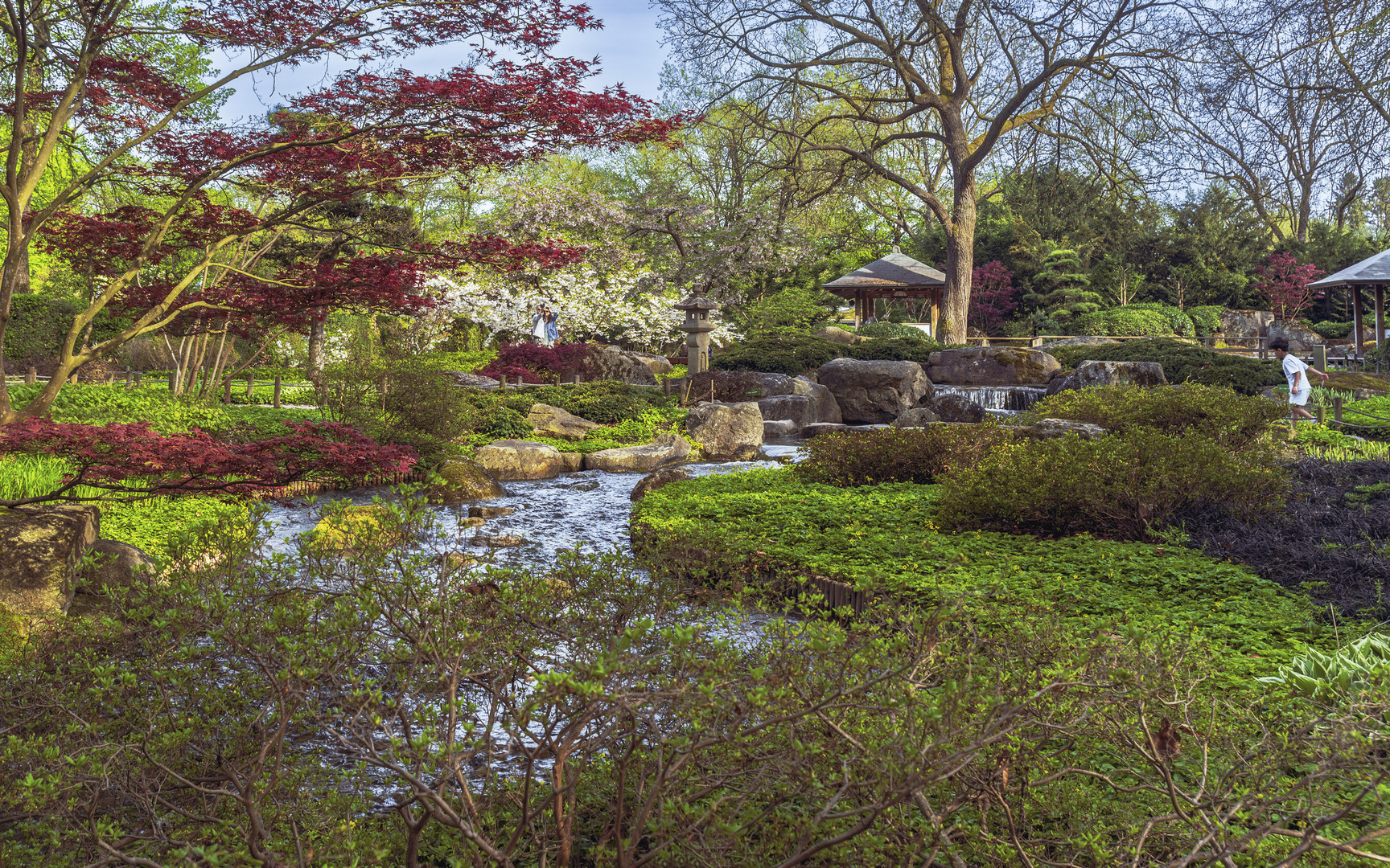 Frühling im Japanischen Garten Augsburg