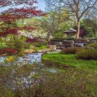 Frühling im Japanischen Garten Augsburg