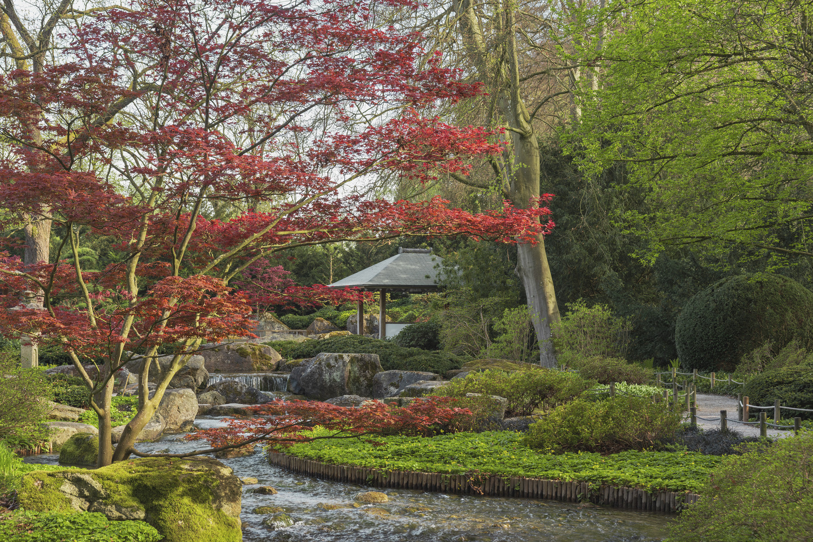 Frühling im Japanischen Garten Augsburg