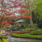 Frühling im Japanischen Garten Augsburg