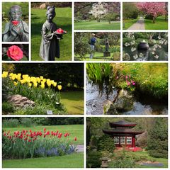 Frühling im Japanischen Garten